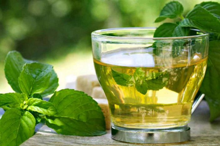 Detox Emonctoire Naturopathe Montauban foie