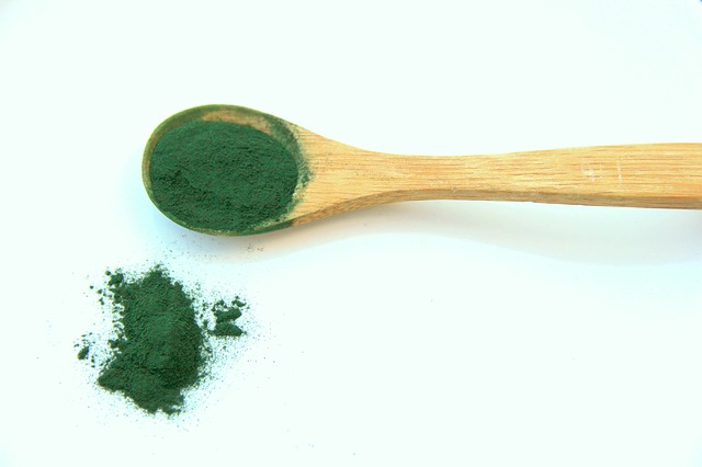 Cuilliere en bois avec de la poudre de spiruline
